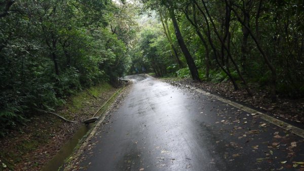 暖東舊道登山健行趣(淡蘭中路TK2-3)1616721