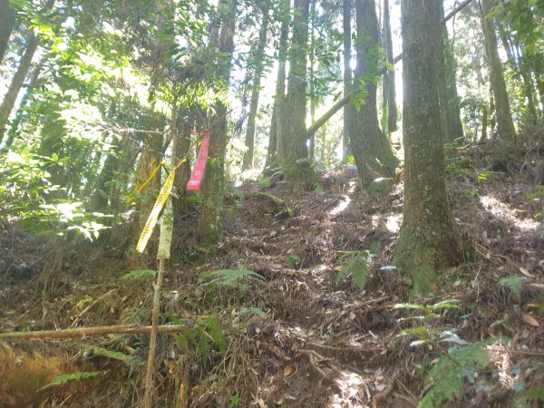 20220723加里山經加里山東南峰走風美溪返回鹿場登山口1800461