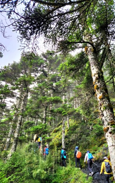 【百岳縱走】世紀奇峰，大霸尖山2741473