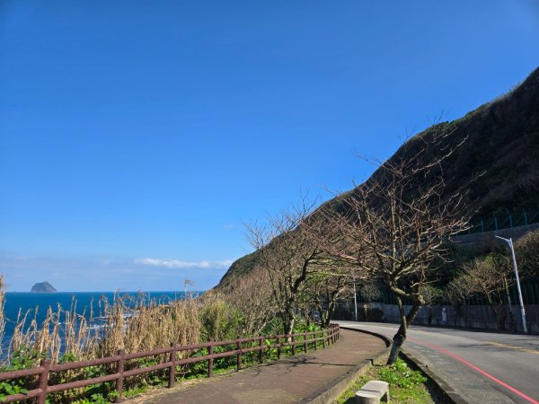外木山濱海大道2702084