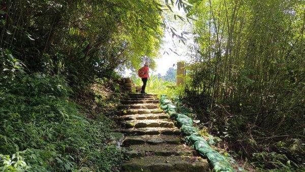 (姨婆趴趴走)第二十一集:桃園復興高遶溪古圳步道、新柑坪山、牛背岩環狀縱走2252302