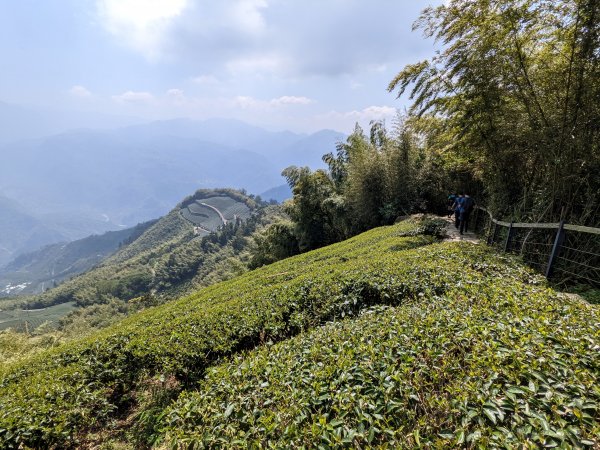 雲嘉大尖山1638364