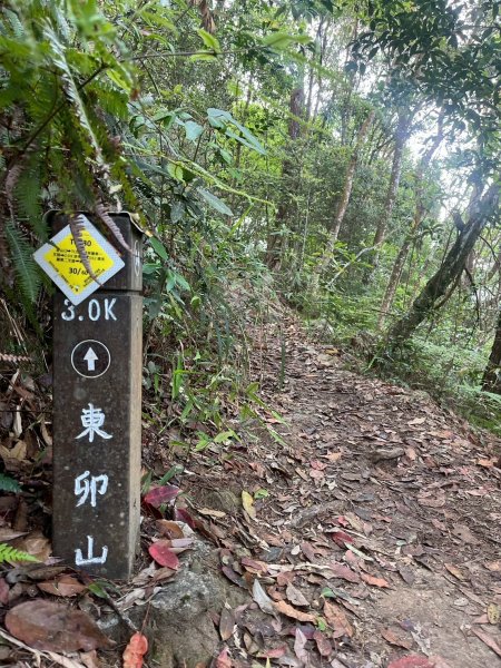 台中 和平 東卯山2771826