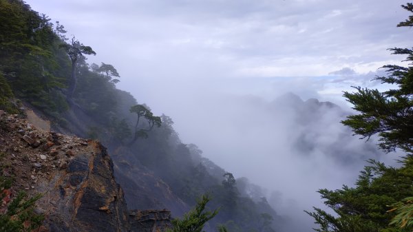 武陵四秀成兩袖(一秀加一宿)1142486