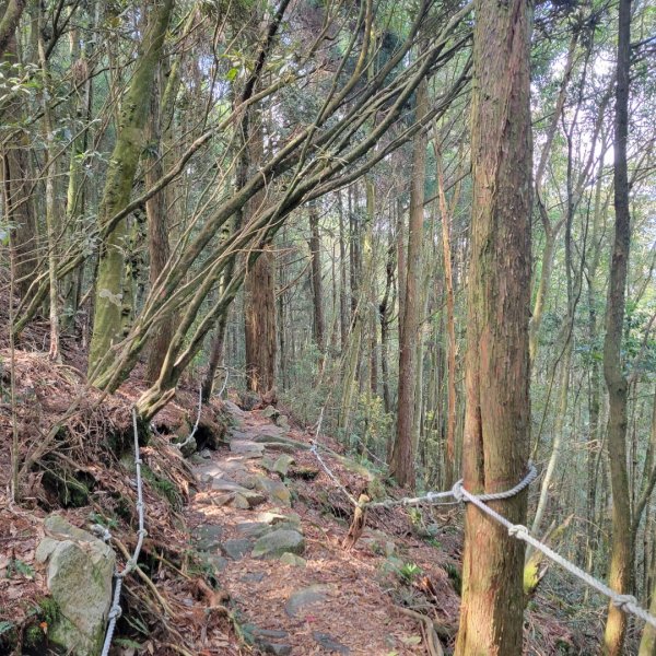 橫嶺山登山步道1638211