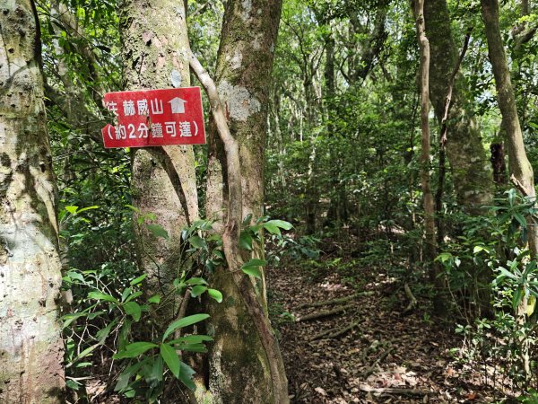 2025_0601 赫威山2802315