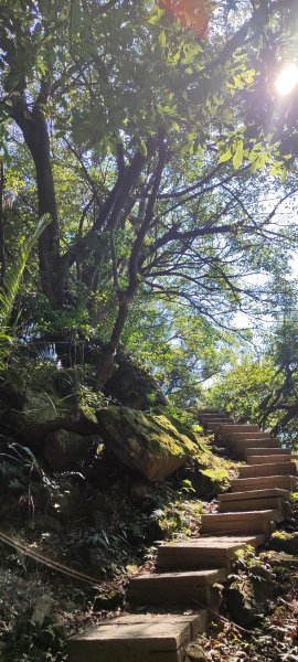 微笑山線：【大棟山系】百年大榕樹段2868489