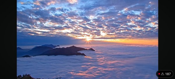 阿里山 #隙頂二延平 #頂石棹 #觀音圈 #雲海 #琉璃光 #雲瀑 #霧虹 11/172668186