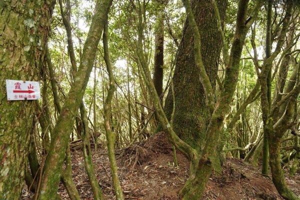新竹 五峰 油羅山、霞山2798304
