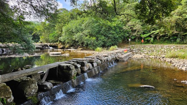 虎豹潭古道、大平山腰古道、樓仔厝古道O型走2232409