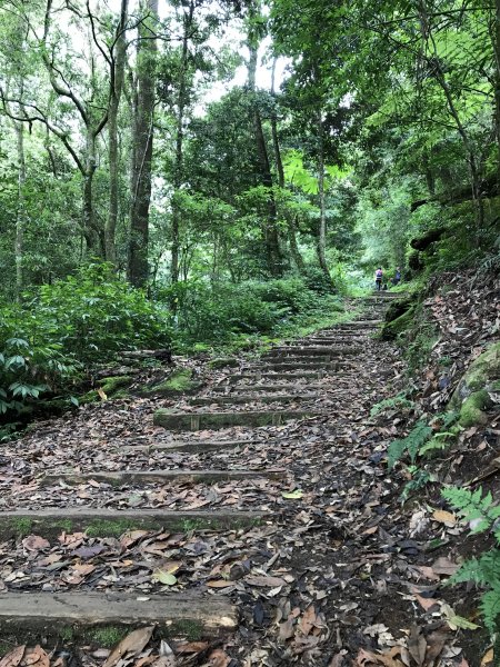 109年6月26日特富野古道1027216