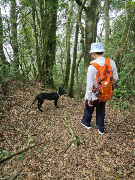 石壁山&嘉南雲峰2876451
