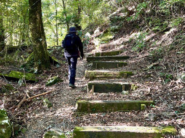 船型山環走大雪山210林道2978017