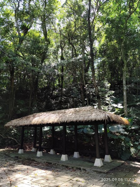 【臺北大縱走 7】2-1 樟山寺→樟樹步道→彩雲亭→相思炭窯→貓纜貓空站→指南路三段40巷2881788