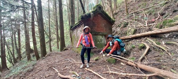 水漾森林、鹿屈山、眠月神木2729651