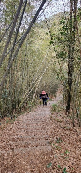 2025-01-19孝子路步道、大巃頂2694257
