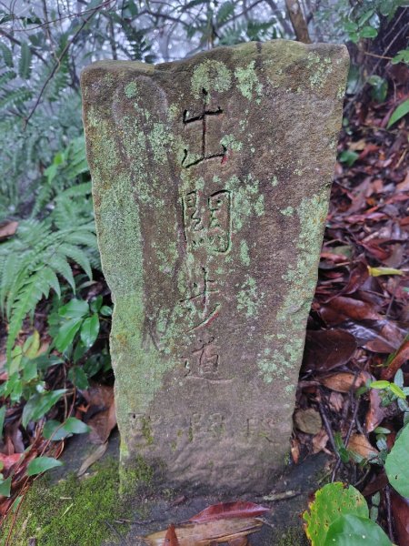 苗栗關刀山2975088