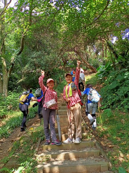 【小百岳集起來】樹林大同山、青龍嶺、大棟山連走鶯歌石步道、孫龍步道1479241