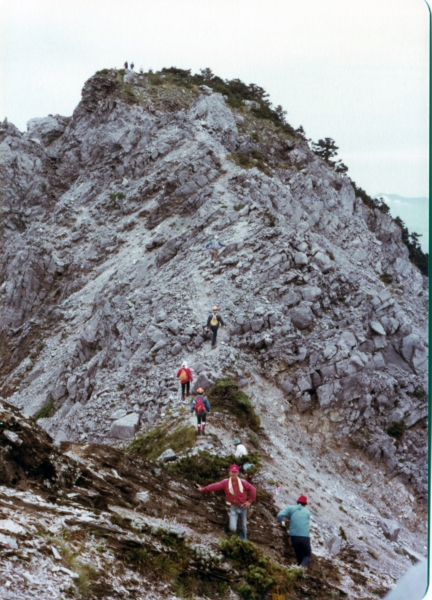 1981年，南湖中央尖15058