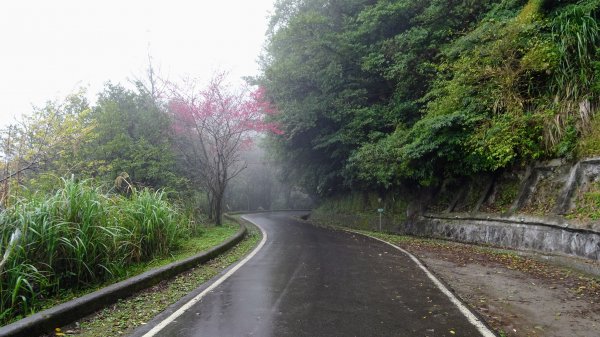 新北投,中正山,竹子湖2020457