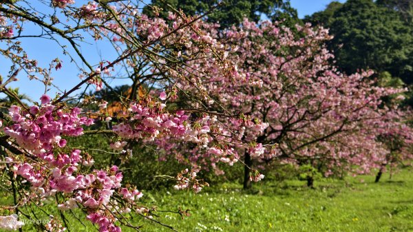 天元宮了嗎？2/32992581