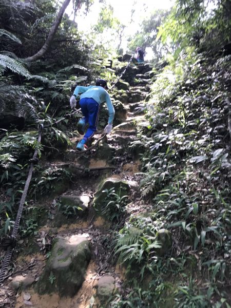 皇帝殿東峰139018