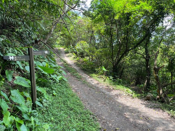 20230821_烏山-外澳古道2762709