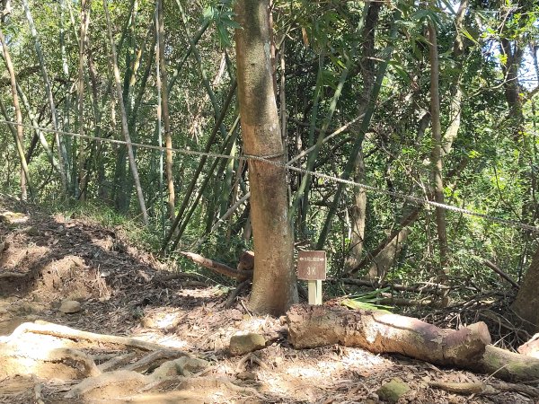 微笑山線：【大棟山系】405高地段2942535