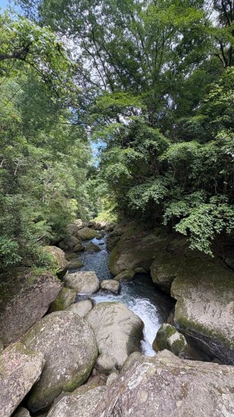 戲水（鴛鴦2786687