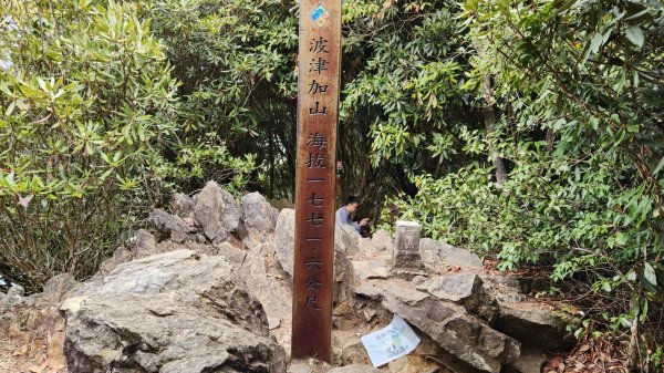 波津加山，太平蝙蝠洞延伸步道，福田賞桐生態步道，美崙山步道，台東鯉魚山2005056