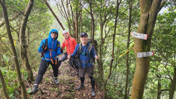 峰頭尖~峰頭尖東峰2761356