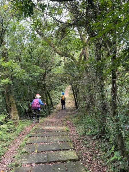 大溪漁港越嶺桃源谷下大里天公廟(蕃薯寮山 福德山 灣坑頭山/小百岳#82)3054186