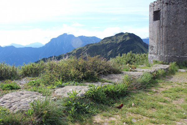 20200625南投合歡主峰1020311