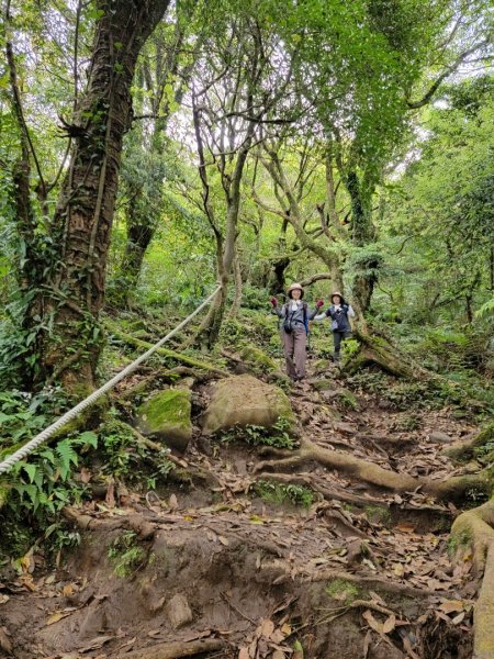 20230404愛上土徑山路 (頂湖山-中正山-大屯西峰-面天坪-清天宮)2096228