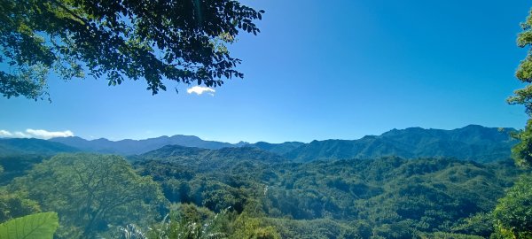 2024/09/17-百吉林蔭步道+頭寮山2595788