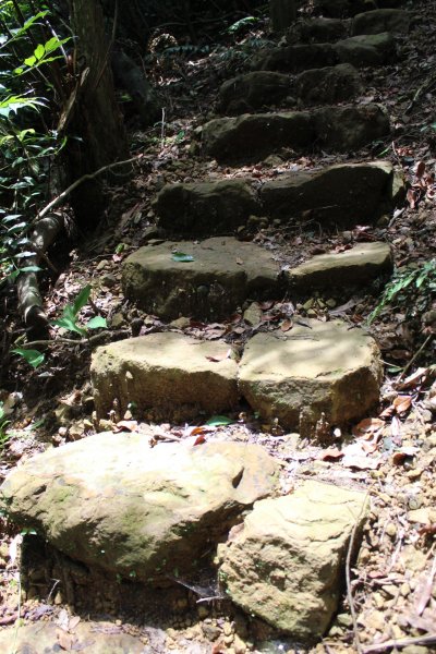 淡蘭南路獵狸尖步道1002665