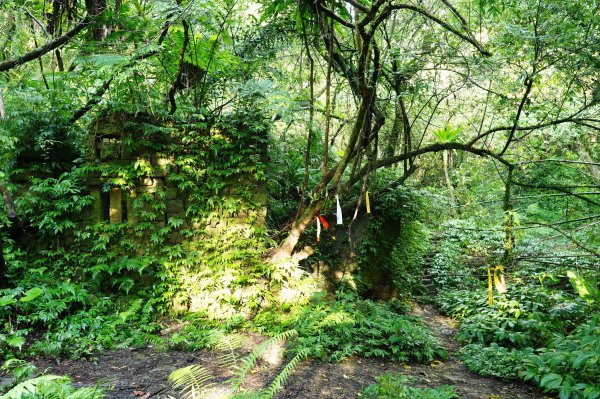 新北 石碇 西帽子岩、炙子頭山、溪邊寮山2551954