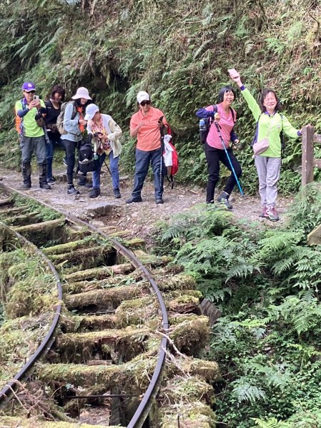 宜蘭太平山國家森林遊樂區 - 見晴懷古步道、檜木原始林步道（2-1 至蹦蹦車站）【台灣百大必訪步道】2245122