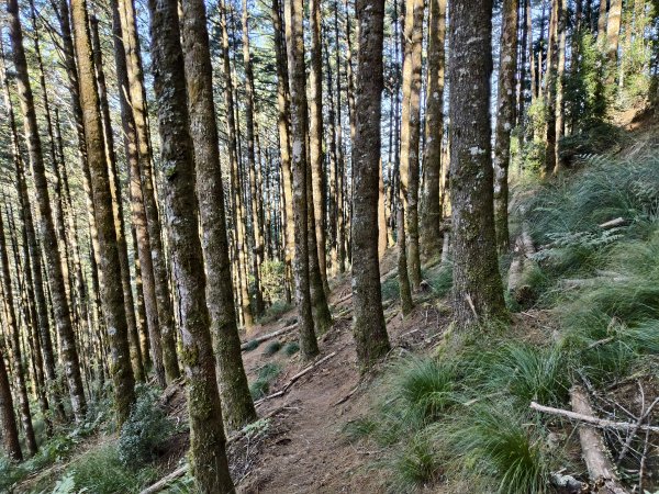 北一段(02/14)多加屯前峰2025_0906~132885100