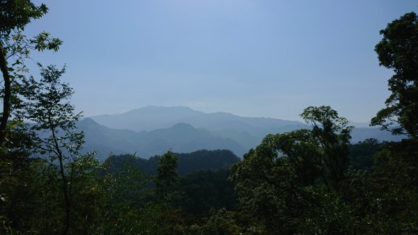 鳴鳳古道群連走1117913