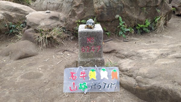 雙石縱走加碼蓬萊仙島山2997569