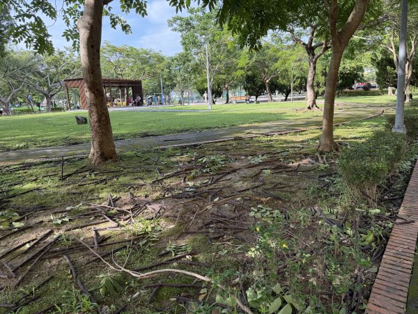 [2026臺北健走趣-05/50] 2026_0712_美崙公園3097855