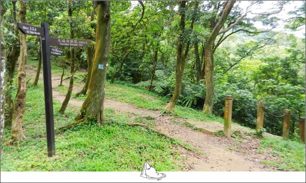 【新北汐止】大尖山連走四分尾山391437