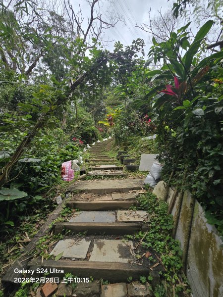 2026-02-28微笑山線：【大棟山系】405高地段3008683