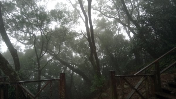 飛鳳山（小百岳）石壁潭山，觀日亭，中坑山501134