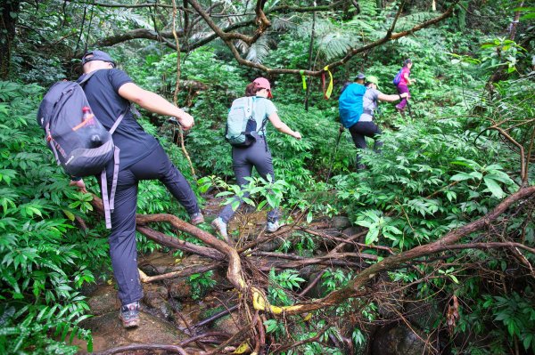 (淡蘭古道)石笋、楊廷理、嶺頭觀日O型559584