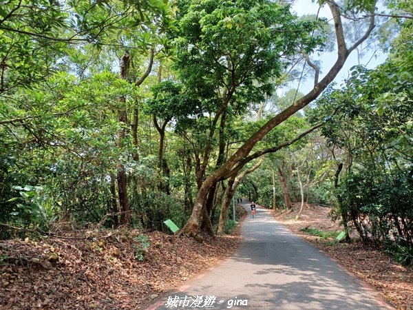 【彰化員林】員林百果山上最具人氣的休閒步道。 台灣百大必訪步道。 藤山步道1689464