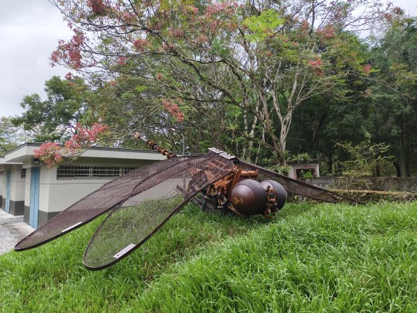 [漫遊縱谷 愛在花東-08/10] 2025_1012 林田山林業文化園區步道2913523