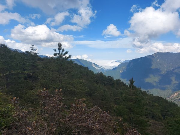 合歡山北峰1377979