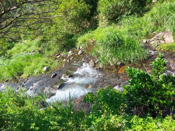 九寮溪自然步道2867210